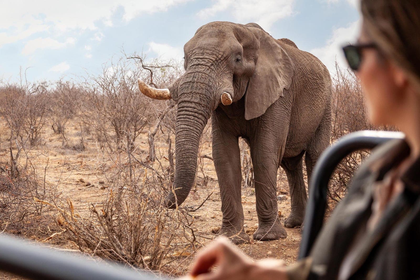 A close encounter with an elephant on a game drive at Tuningi.